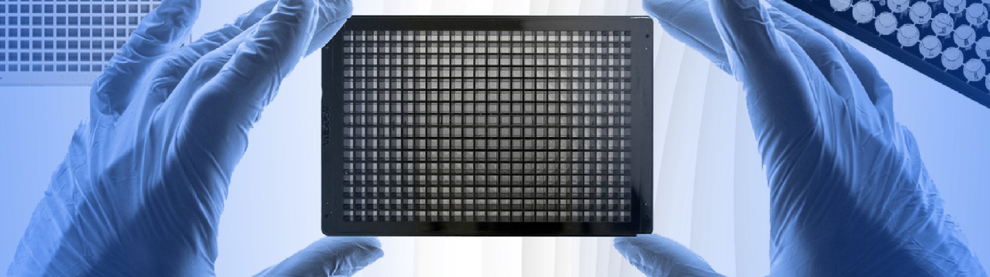 Aurora Microplates CMP Landing Page Banner - 13.12.24