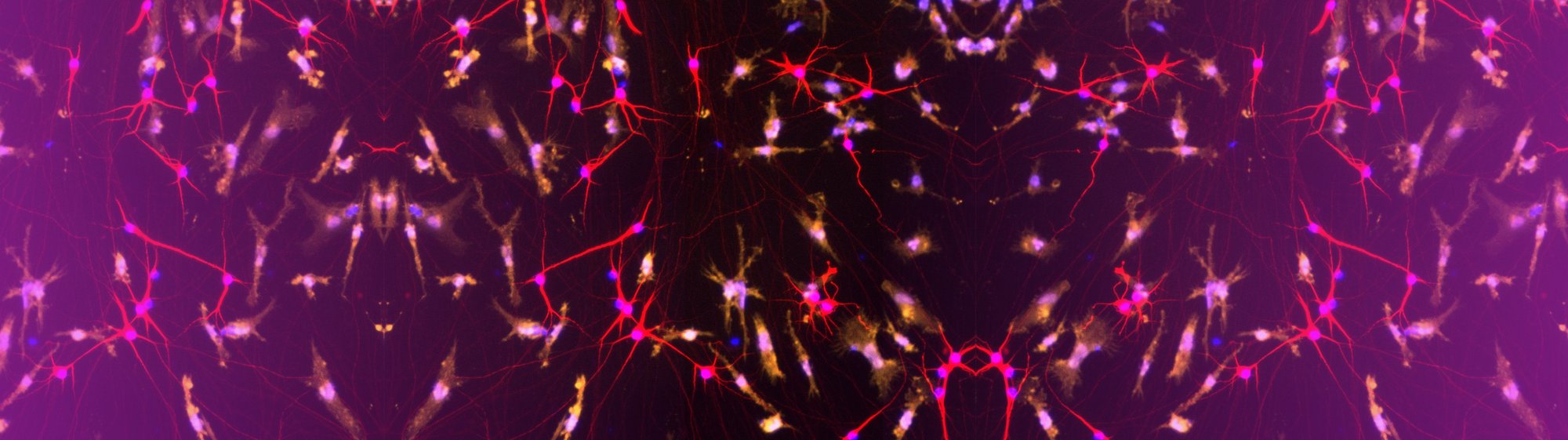 Bit.Bio CMP Landing Page Banner - 10.12.24