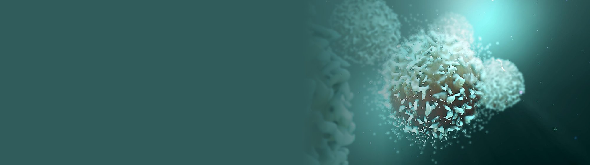 Agilent CMP Landing Page Banner - 22.10.25 Agilent CMP Landing Page Banner - 22.10.25