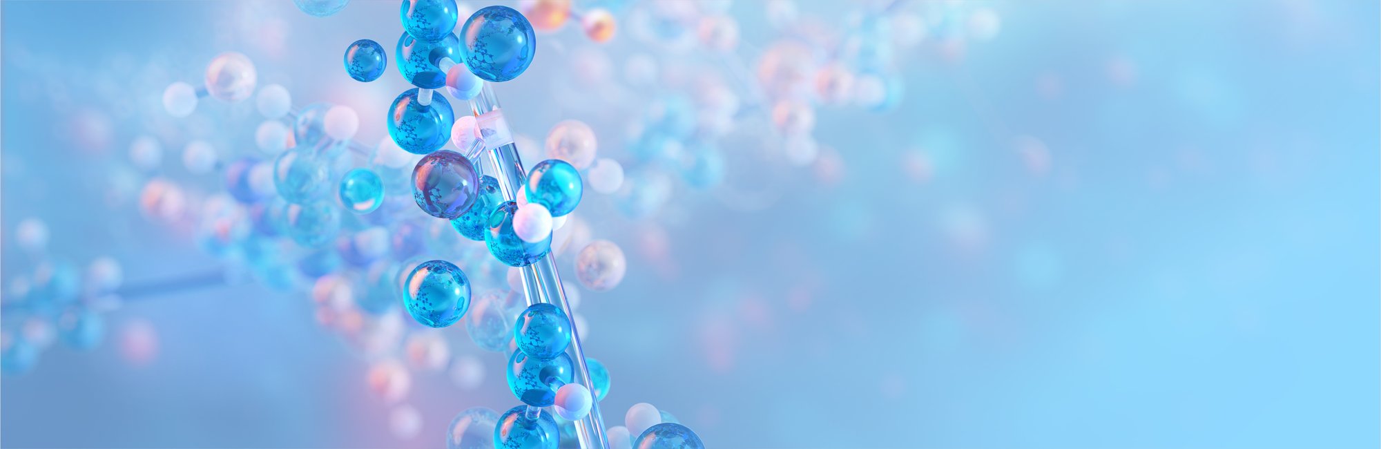 shutterstock_2538040289