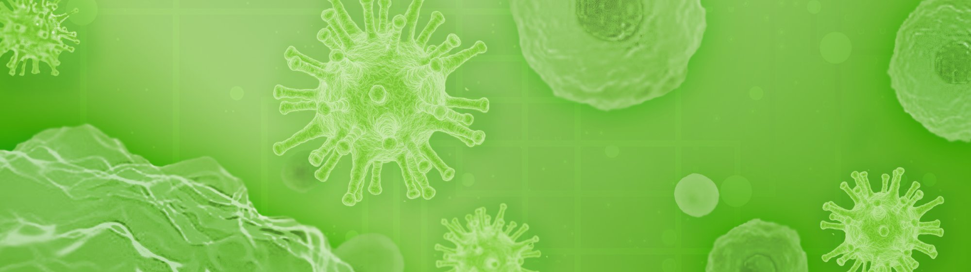 Hamilton CMP Landing Page Banner - 07.01.25