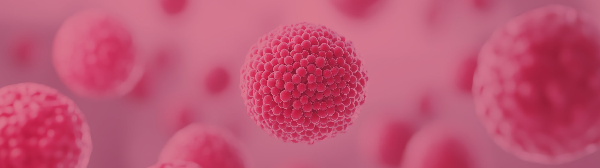 Sartorius CMP Landing Page Banner - Nov 2025