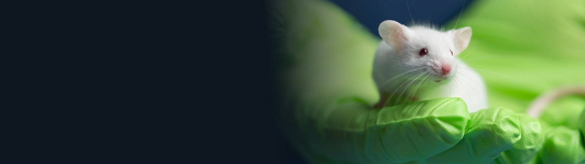 Taconic CMP Landing Page Banner - 11.11.24