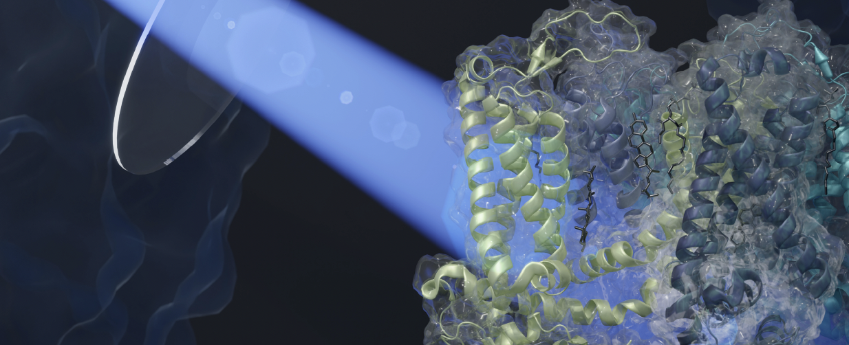 Screenshot 2025-10-23 at 09.59.28