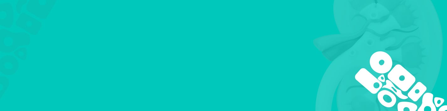 DDW-Landing-Page-Banner-1425px