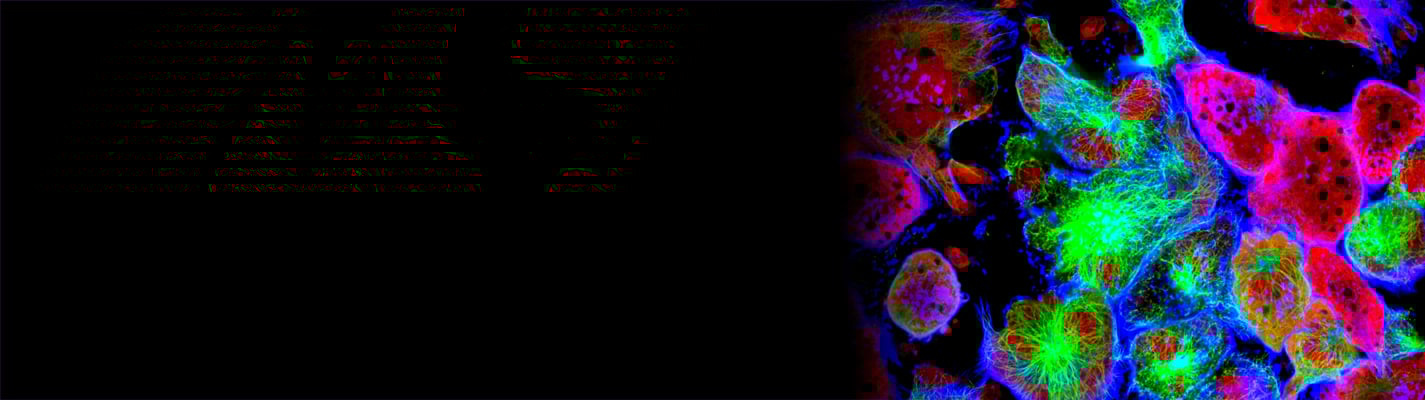 Imaging-eBook_0524_Landing-Page-Banner_1425px Imaging-eBook_0524_Landing-Page-Banner_1425px