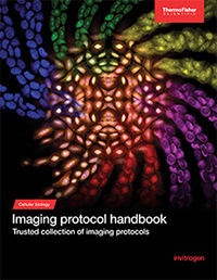 22TLSS044-Imaging-Protocols-Handbook- cover 200px
