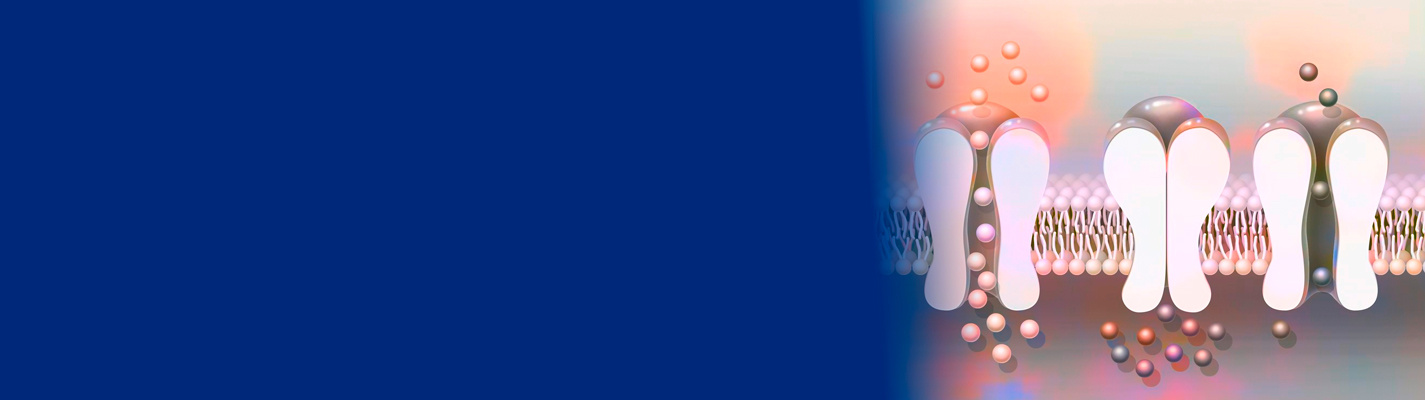 Axxam-Landing-Page-Banner-0425_1425px