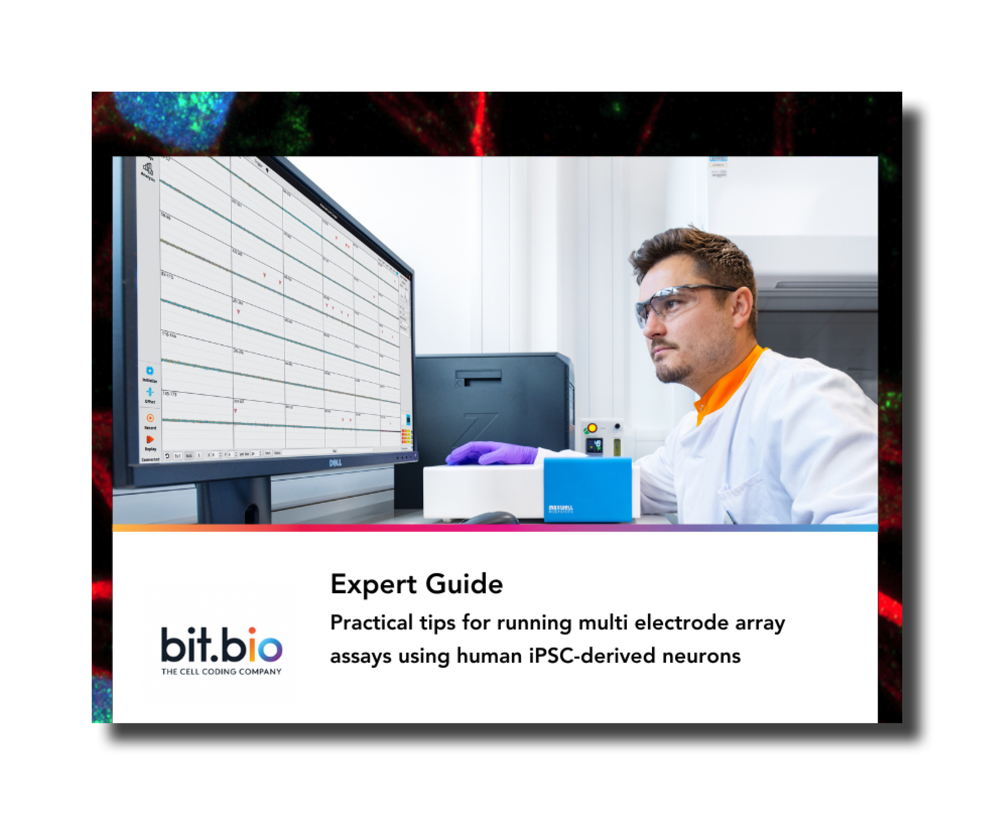 Bit.Bi0 CMP Asset Image - 16.07.25