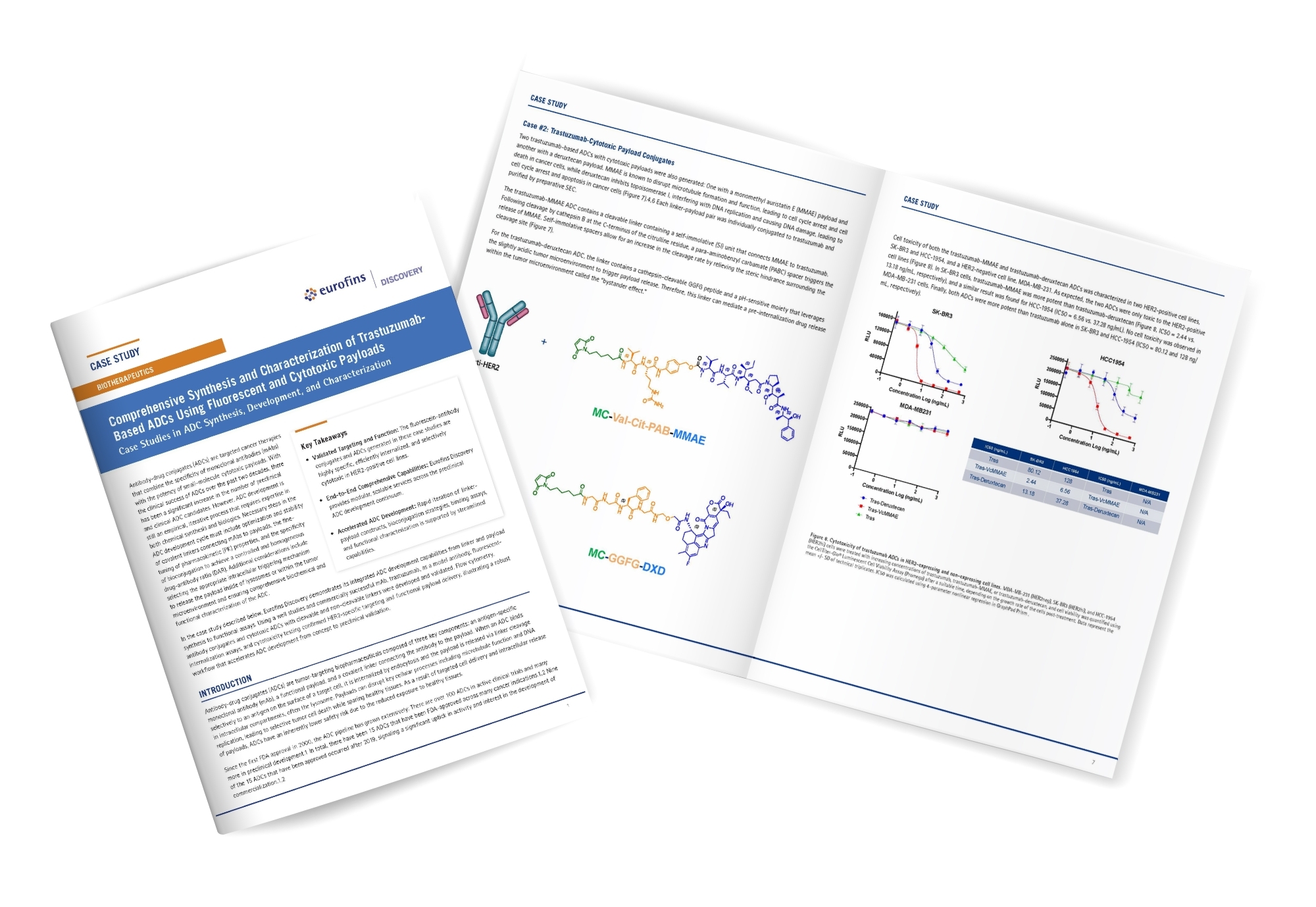 DDW_ADC Case Study Mockup_v1