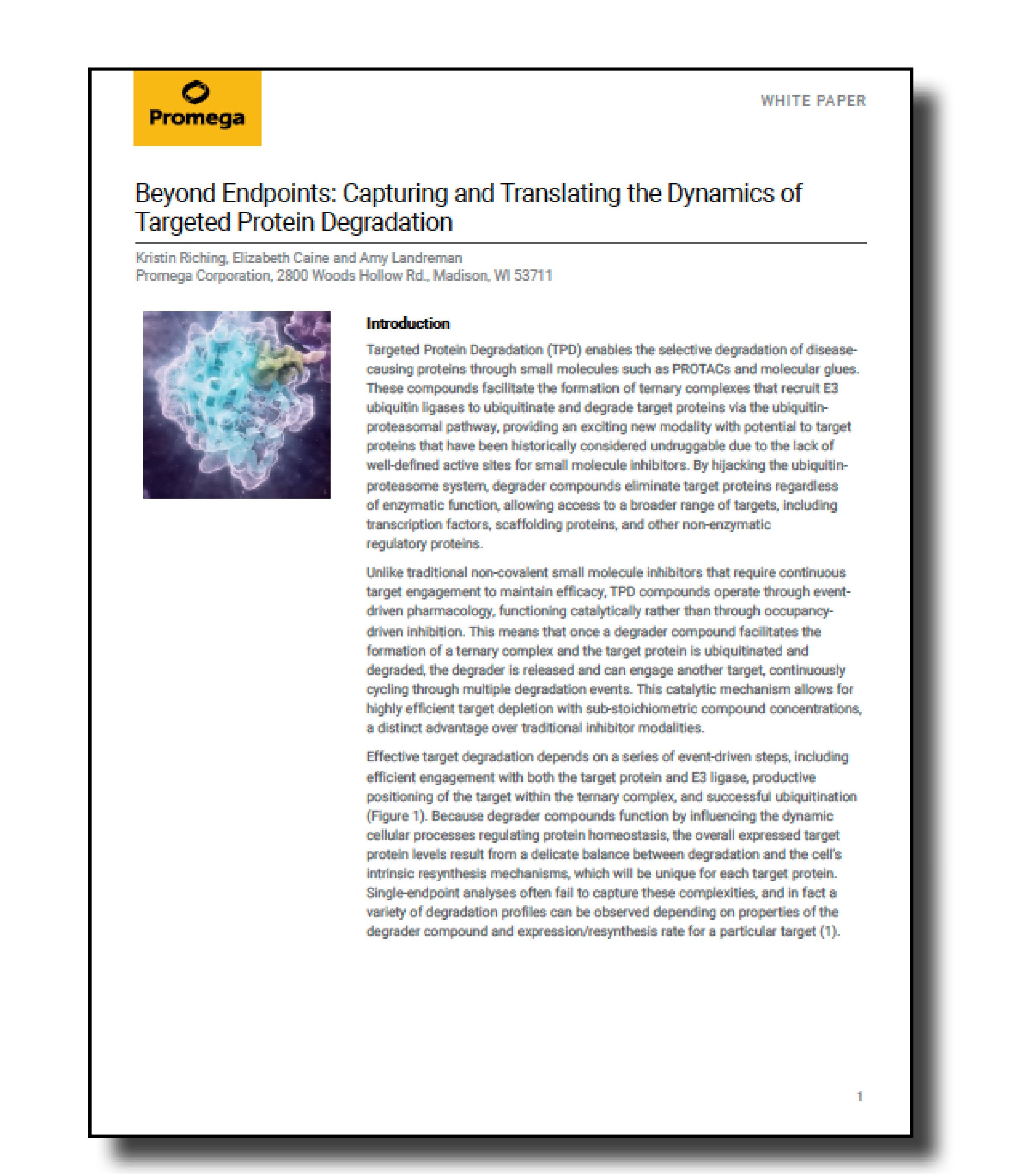 Promega CMP Asset Image - 13.11.25