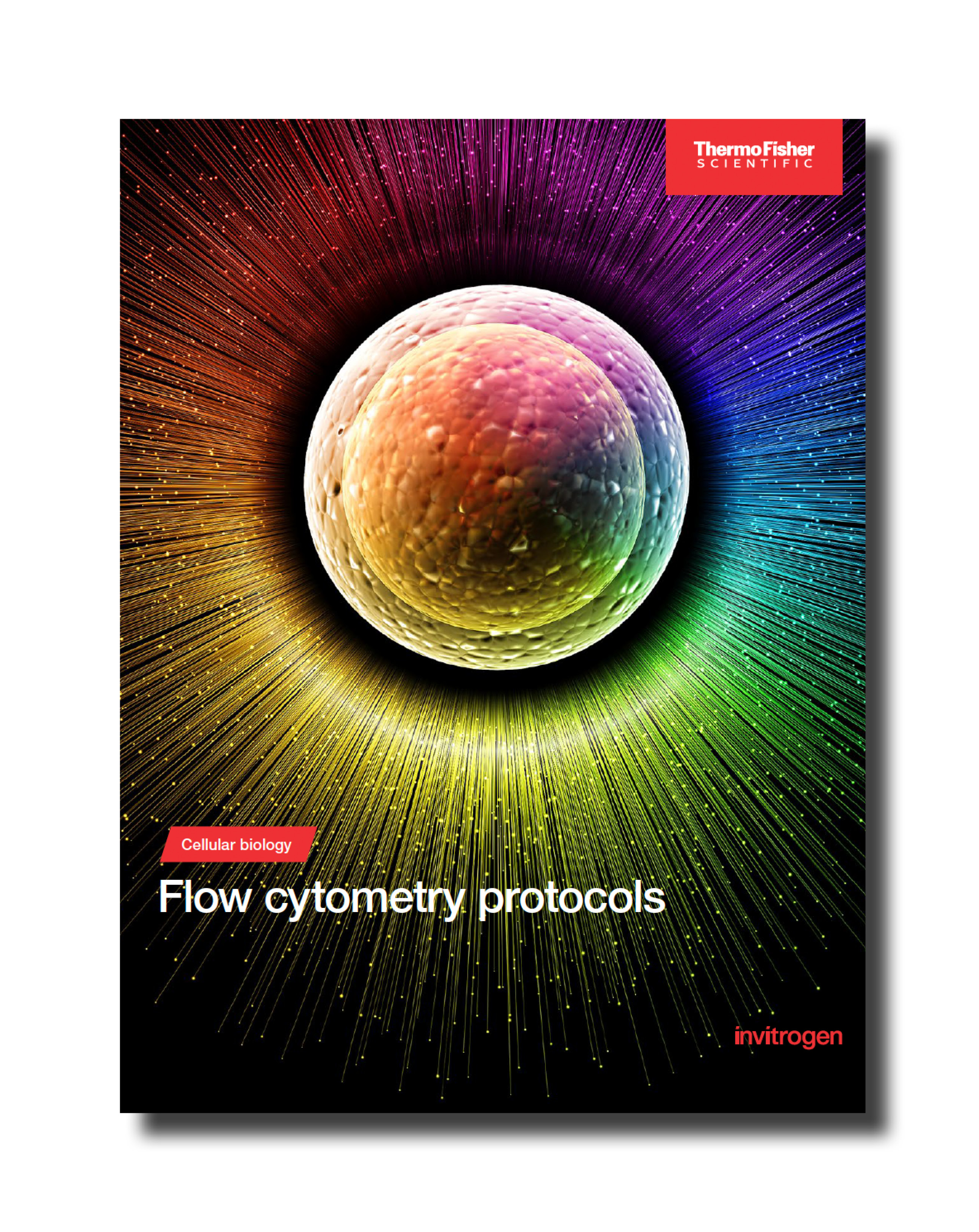 Thermofisher CMP Asset Image - 19.08.25