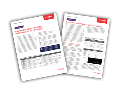 Thermofisher CMP Asset Combined - 10.09