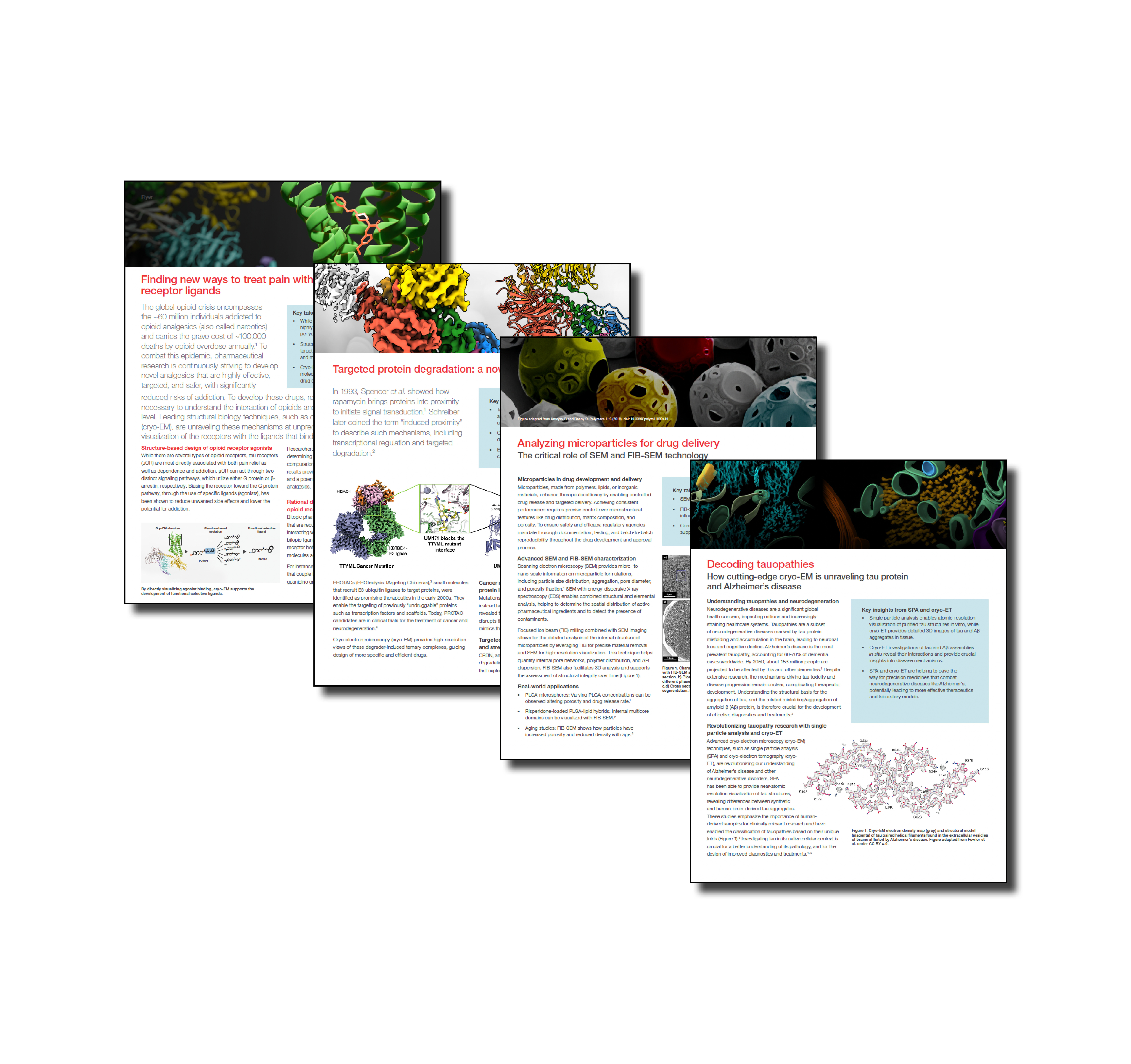 Thermofisher CMP Asset Image - Oct 2025-2