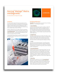 Corning cover image CMP Aug 22_250px