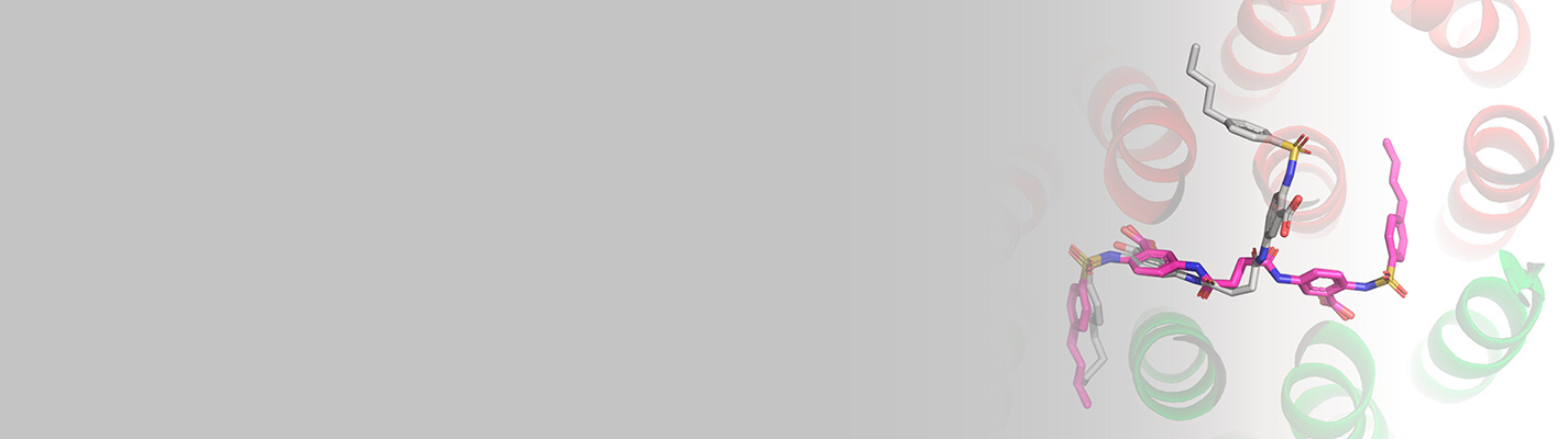 DDW ThermoFisherScientific LP banner 111224_1425px