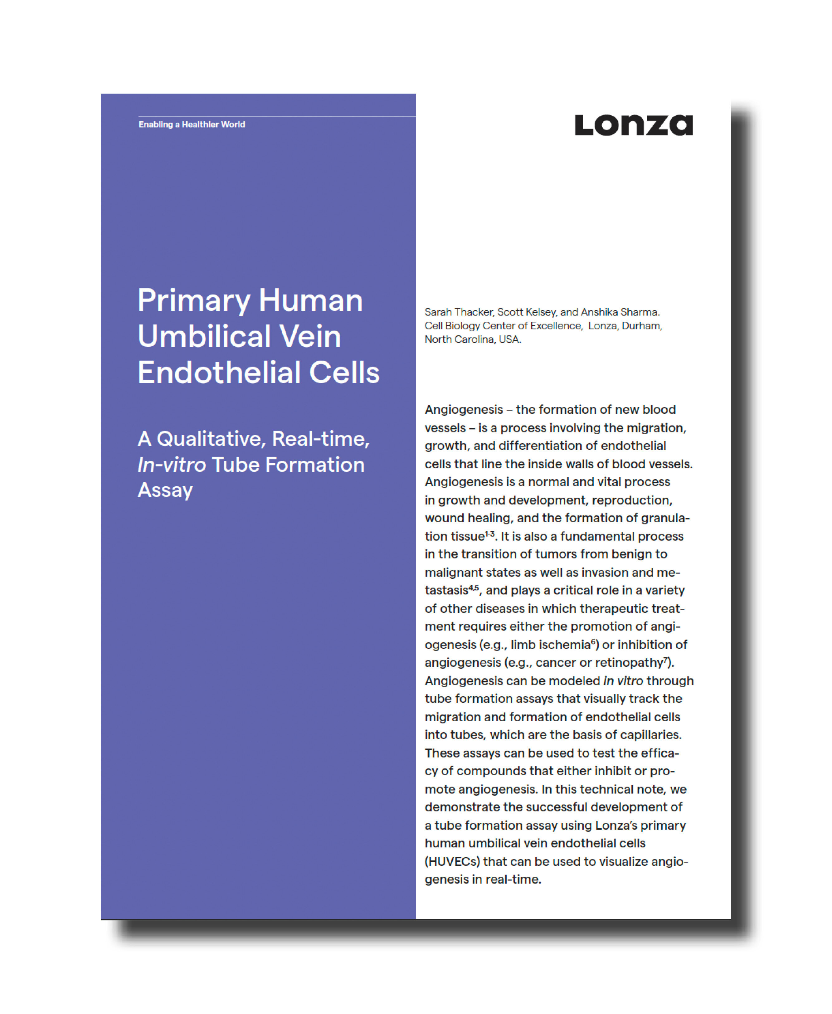 Lonza CMP Asset Image - 10.03.25