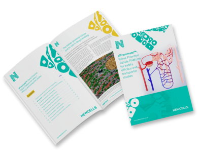 DDW Asset Image (W390xH320) (1)