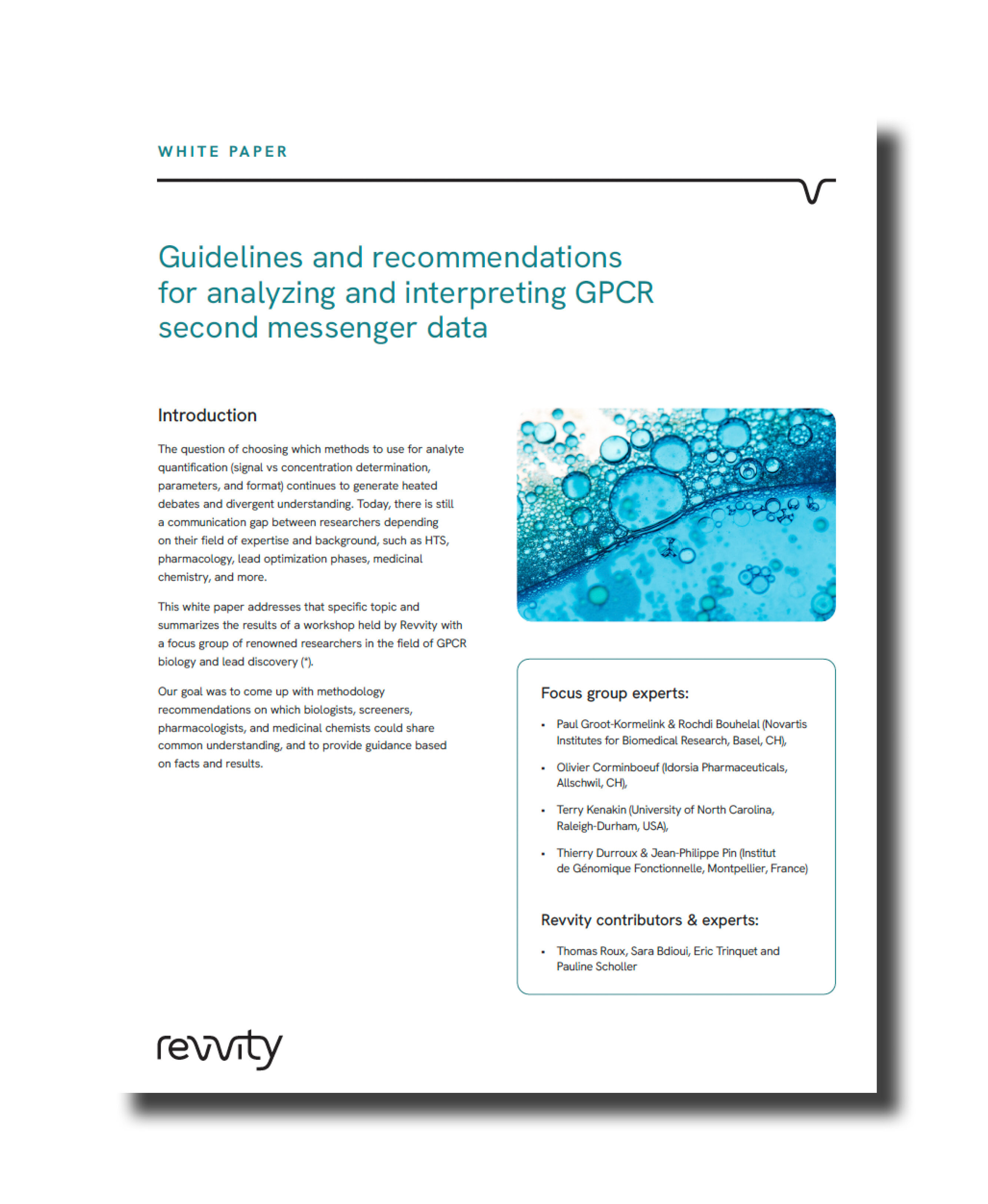 Revvity CMP Asset Image - 31.03.25