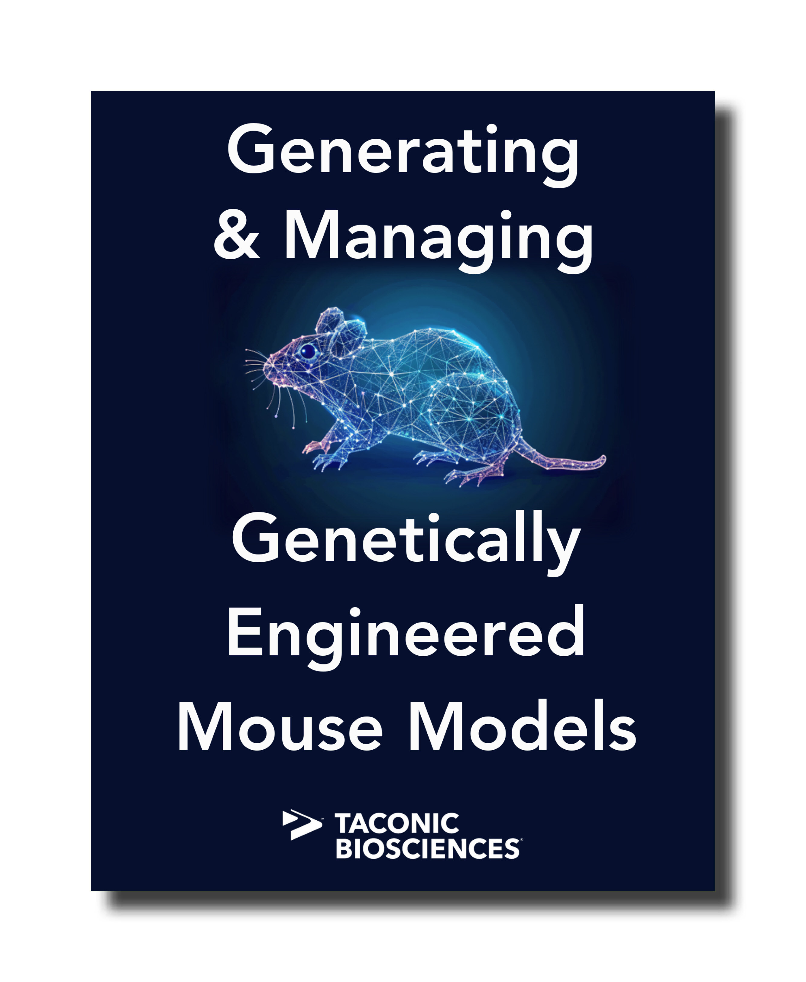 Taconic CMP Asset Image - 06.12.24-1