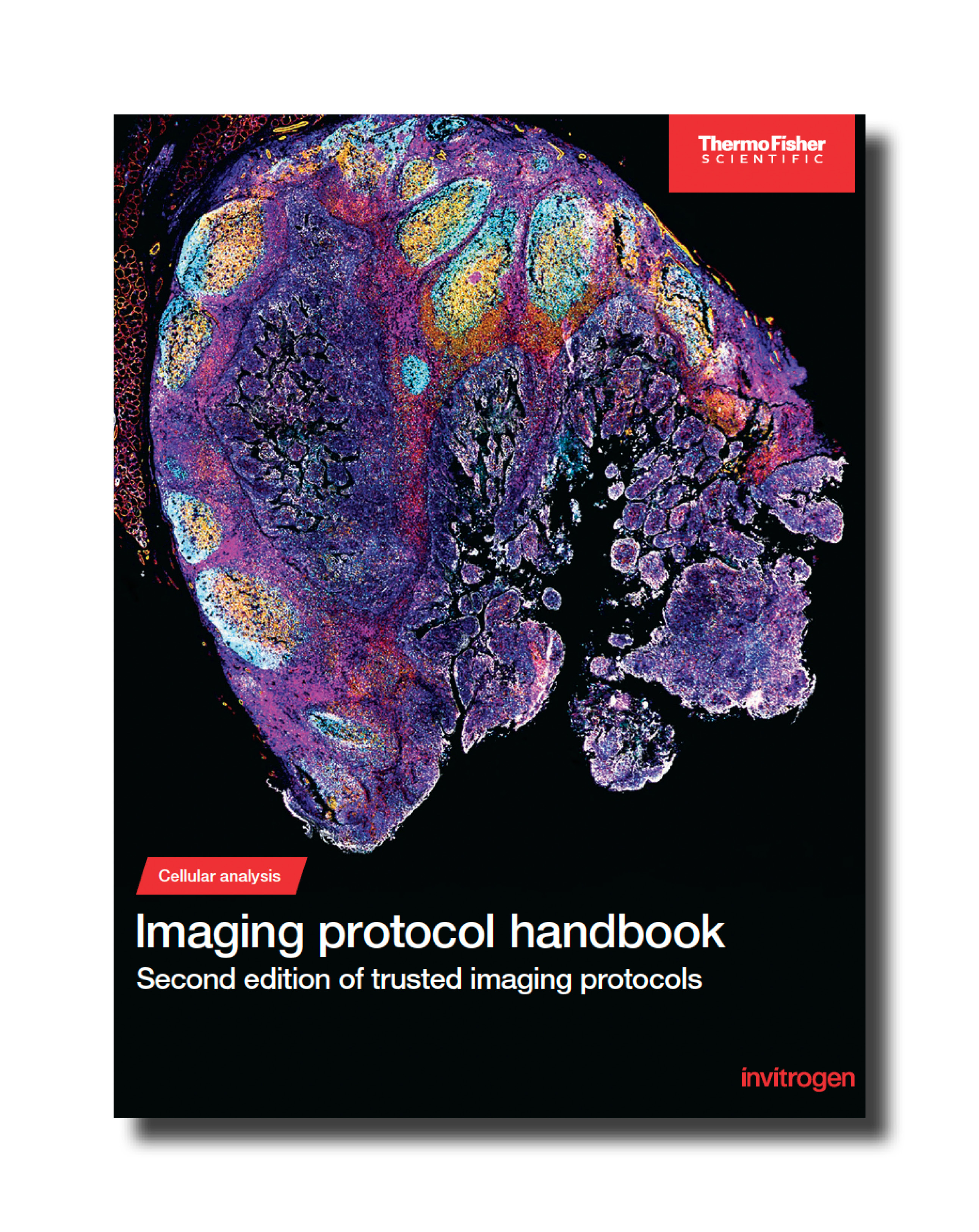 Thermofisher CMP Asset Image - 21.08.25